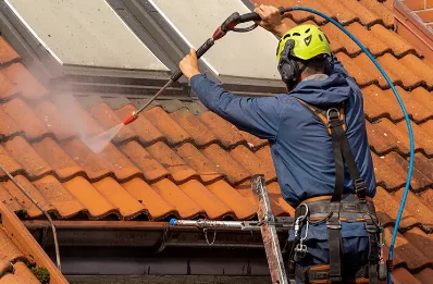 Démoussage et hydrofuge de toiture à Cruet